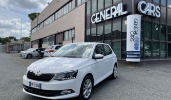 Skoda Fabia 1.4 TDI 90 CV Business full
