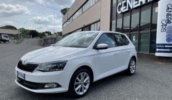 Skoda Fabia 1.4 TDI 90 CV Business full