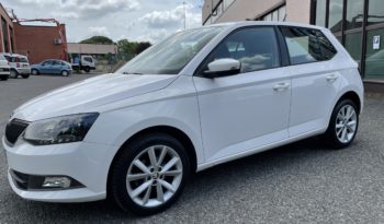 Skoda Fabia 1.4 TDI 90 CV Business full