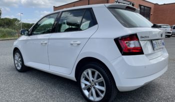 Skoda Fabia 1.4 TDI 90 CV Business full